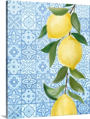 Mediterranean Tile Kitchen Blue Lemons