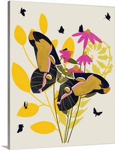 Midnight Moth Coneflower image thumbnail