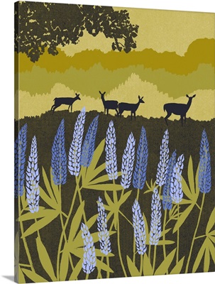 Midwest Lupine