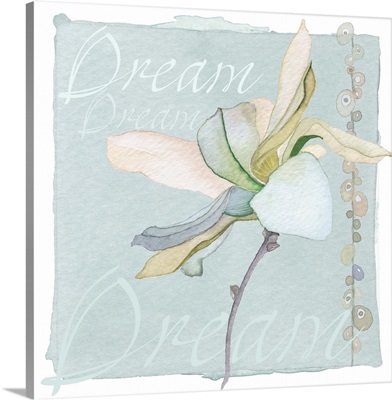 Orchid cream - Dream