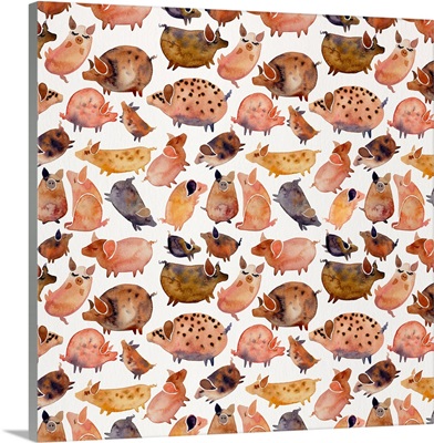Pig Collection Pattern