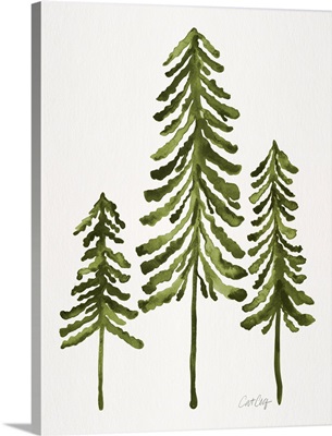 Sage Pine Trees