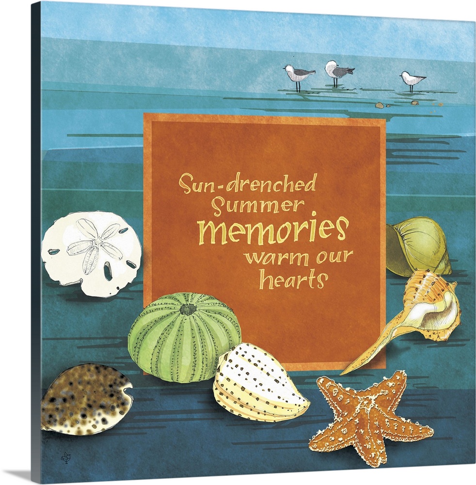 "Sun-drenched summer memories warm our hearts," illustrated with several sea shells.