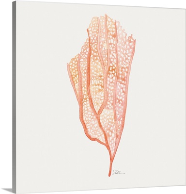 Sophisticated Coral I