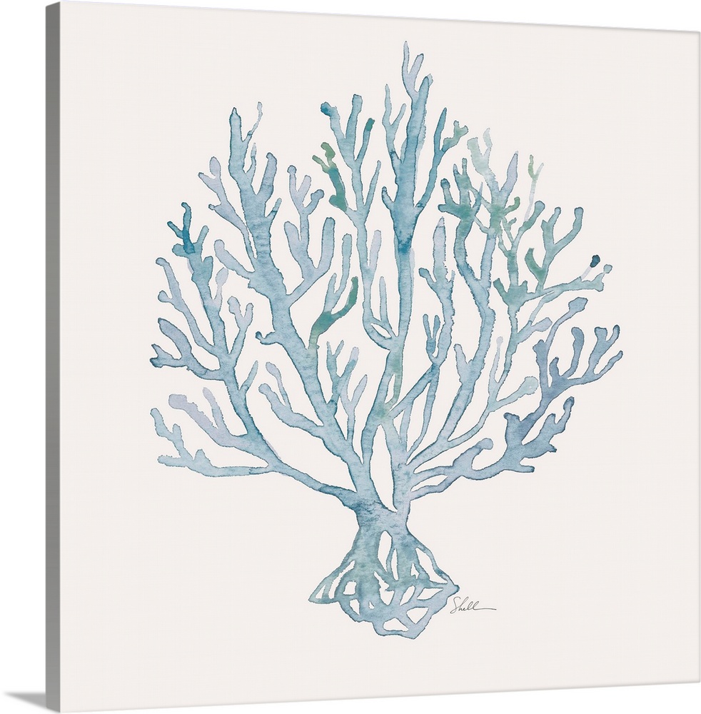 Handpainted Watercolor Corals in a sophisticated palette