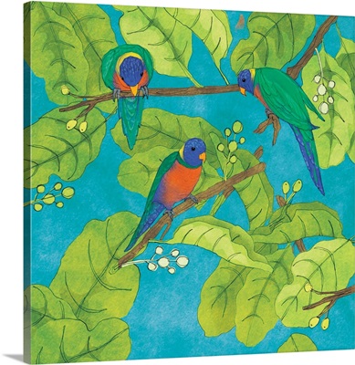 Tropical Parrots - Square