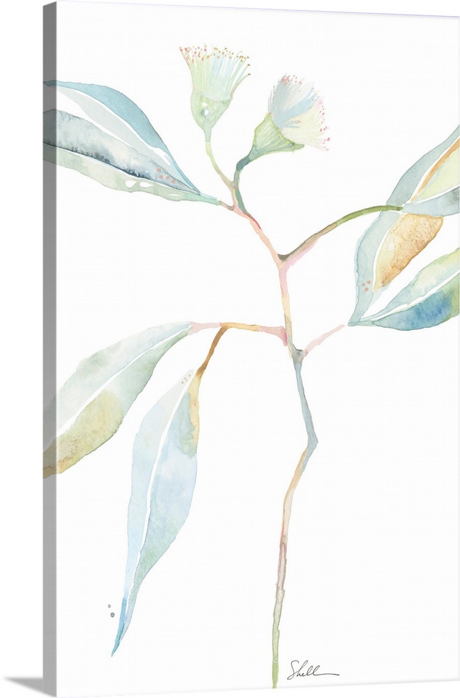 Hand Painted watercolor botanical with soft florals and branches