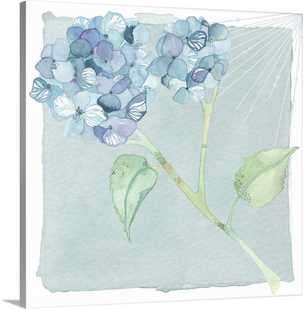 Watercolor artwork of blue hydrangea flowers on a stem with two green leaves.