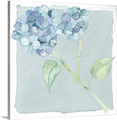 Watercolor floral - hydrangea