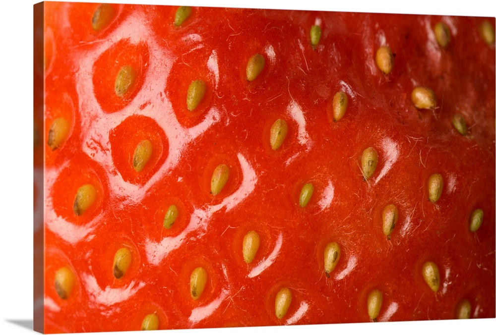 A strawberry on a studio background