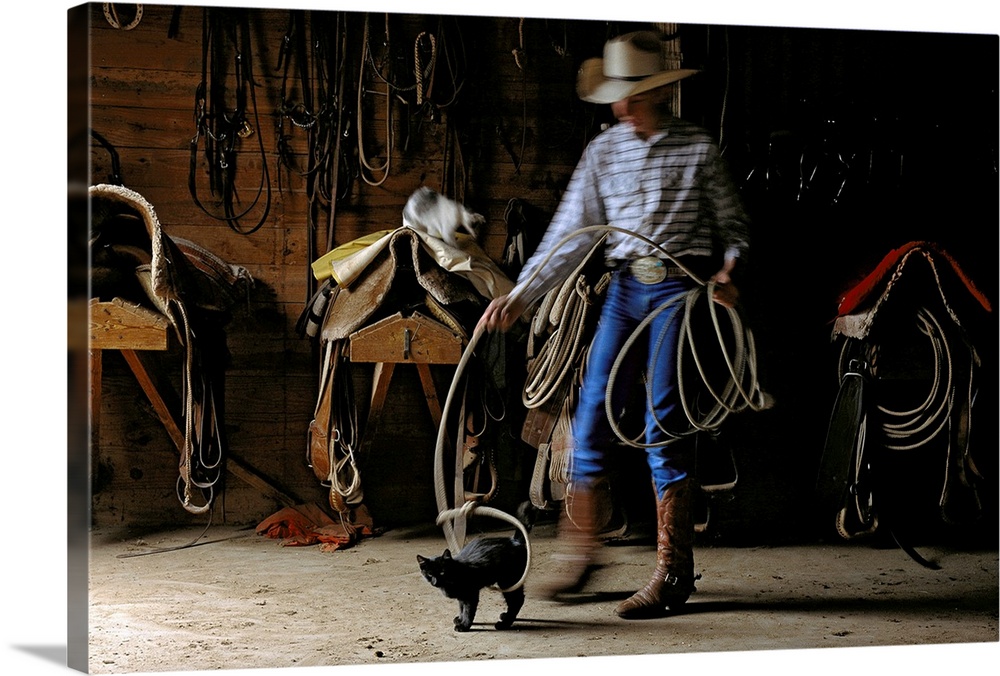 Cowboy playfully lassoes a kitten