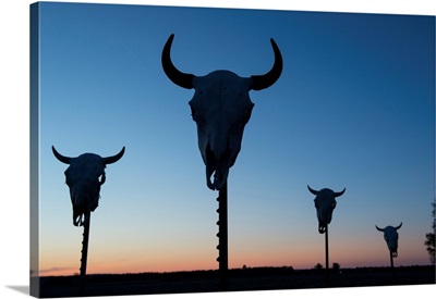 Four bison skulls on posts at dusk
