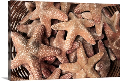 A basket of Starfishes, Rethymnon Old Town, Crete, Greece