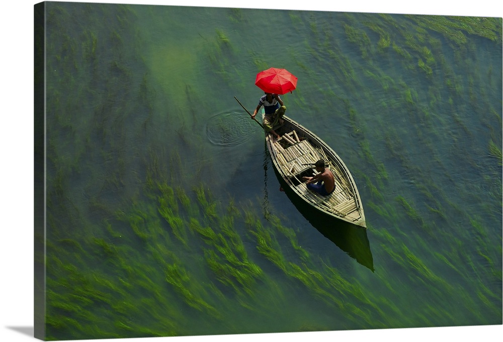 A boat man crossing river with full of algae, Sirajganj, Bangladesh. Asia, Bangladesh.