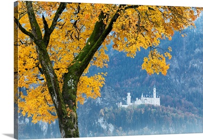 A colorful tree frames the Neuschwanstein Castle surrounded by woods