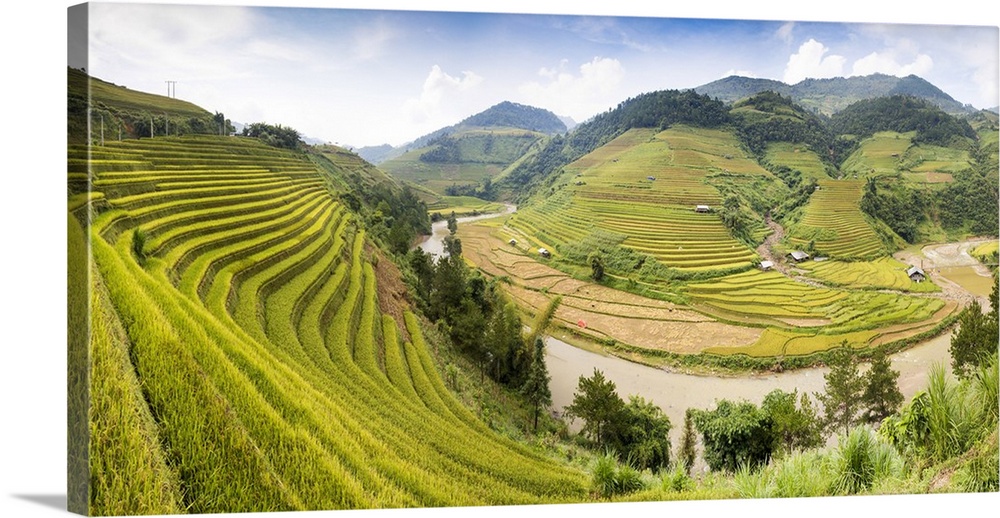 A river flows through lush, green rice terraces, Mu Cang Chai, Yen Bai Province, Vietnam, South-East Asia