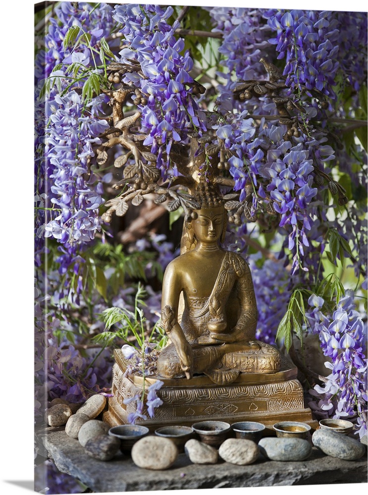 A small Buddha shrine surrounded by wisteria in the Hotel Gangtey Palace, which is a superb hotel with wonderful views. Th...