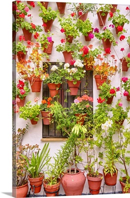 A Traditional Patio Of Cordoba, A Courtyard Full Of Flowers, Andalucia, Spain