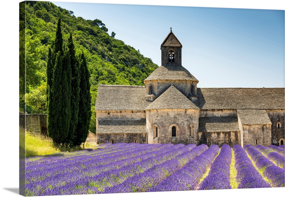 Abbaye De Senanque, Provence, France