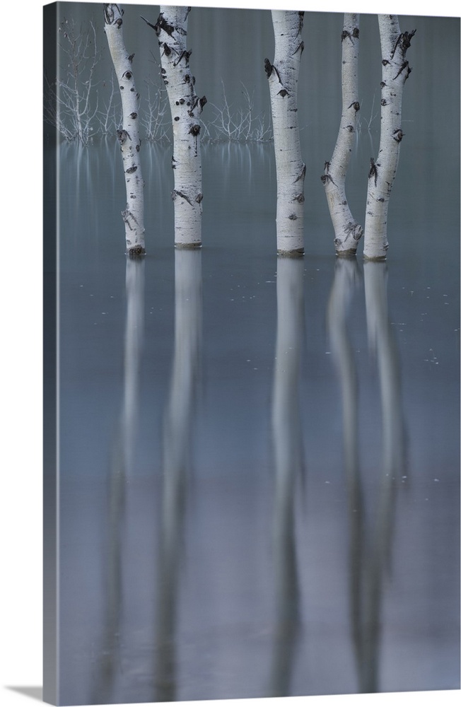 Abraham Lake, Clearwater County, Alberta, Canada