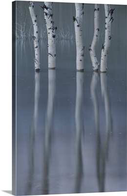 Abraham Lake, Clearwater County, Alberta, Canada
