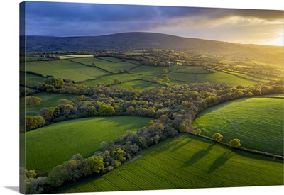 Aerial Photo Of Rolling Countryside In Evening Light, Livaton, Devon, England