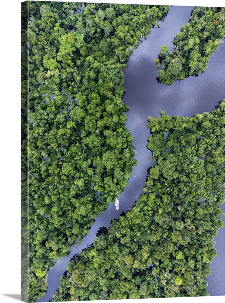 Brazil, Amazonas, Amazon rainforest, Anavilhanas Ecological Station & National Park, Aerial view of a river boat on the Ri...