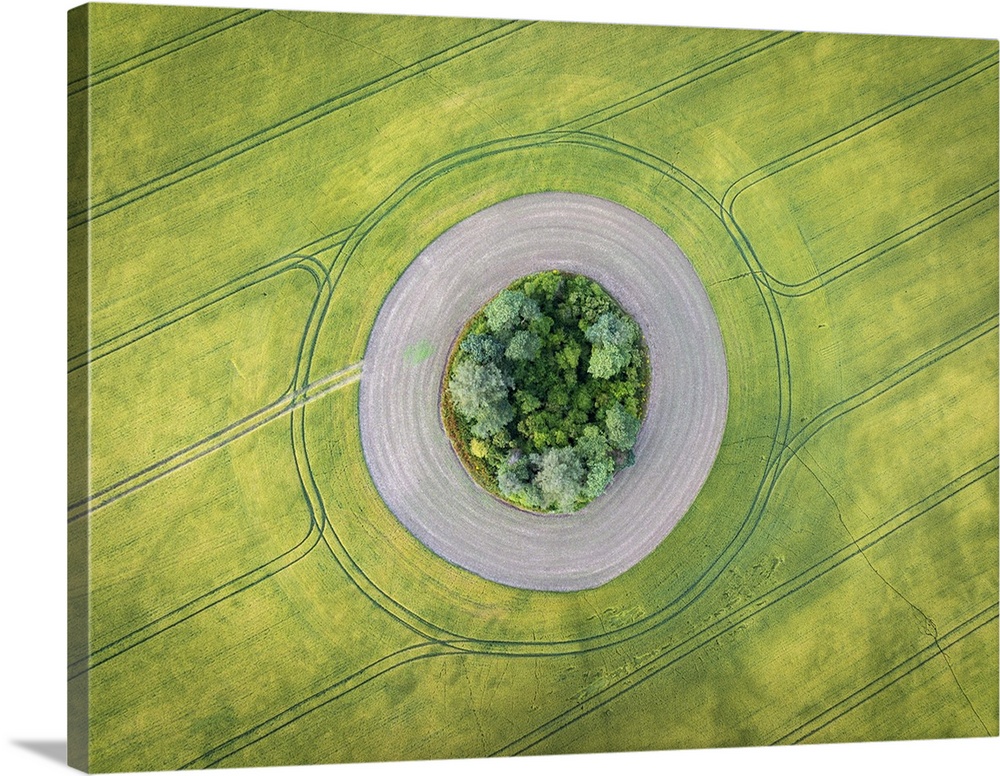 Aerial View Of A Tumulus In A Crop Field, West Sussex, England