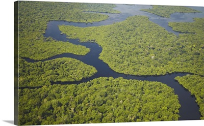 Aerial view of Amazon Rainforest and tributary of Rio Negro, Manaus, Amazonas, Brazil