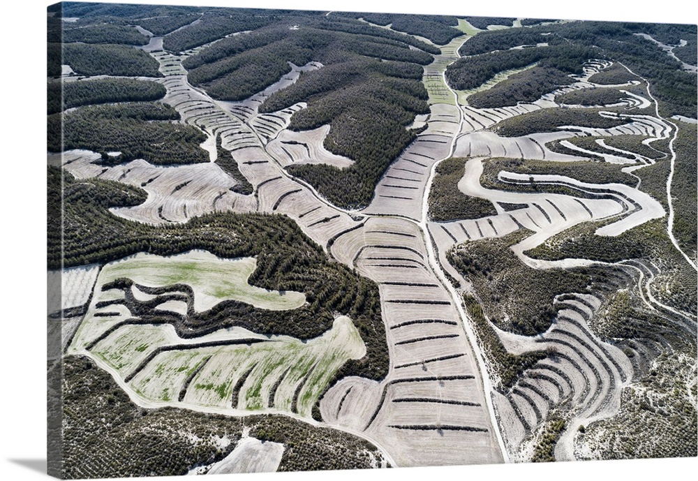 Aerial View Of Drylands Farming. Castejon De Monegros, Huesca, Aragon, Spain