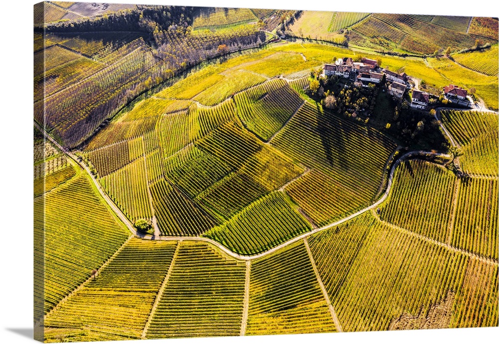 Aerial view of Montestefano village in autumn. Barbaresco region, Piedmont, Italy, Europe.