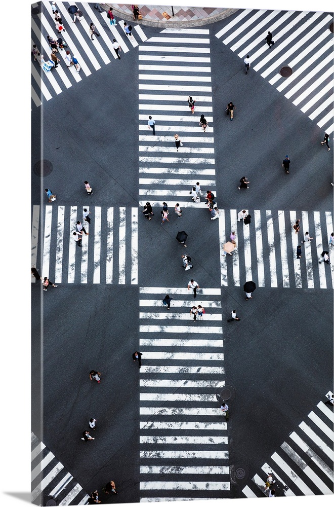 Aerial view of pedestrian crossing, Tokyo, Japan.