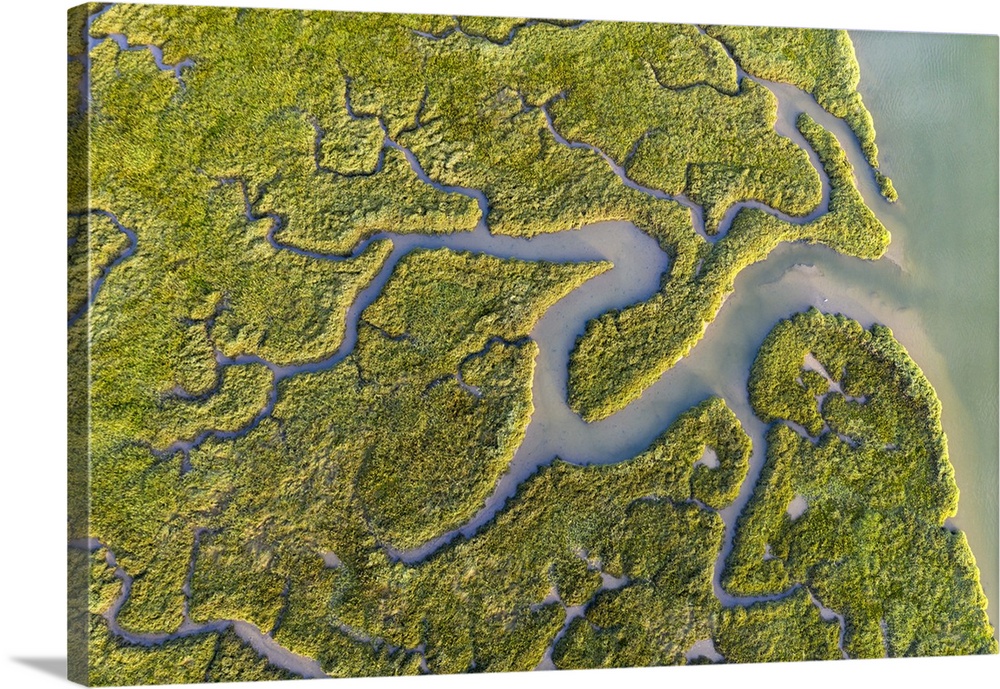 Aerial view of saltmarshes on the Camel Estuary near Wadebridge, Cornwall, England. Summer (August) 2020.