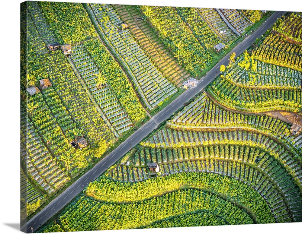 Aerial view of terraced fields at feet of Mount Sumbing, Nepal Van Java, Magelang, Central Java, Indonesia