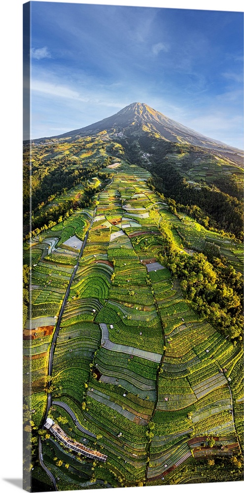 Aerial view of terraced fields at feet of Mount Sumbing, Nepal Van Java, Magelang, Central Java, Indonesia