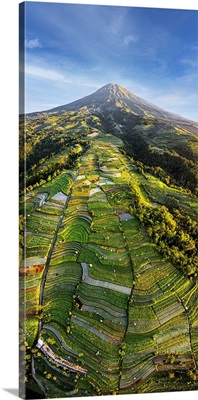 Aerial View Of Terraced Fields At Feet Of Mount Sumbing, Java, Indonesia