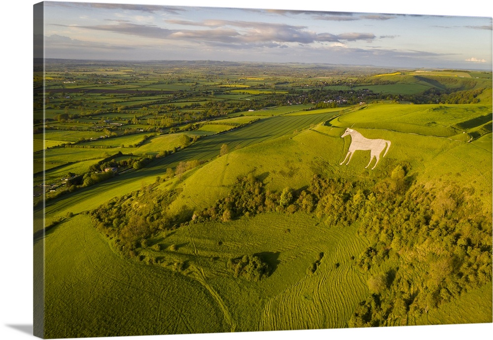 Aerial View Of Westbury White Horse And Bratton Camp, Westbury, Wiltshire, England