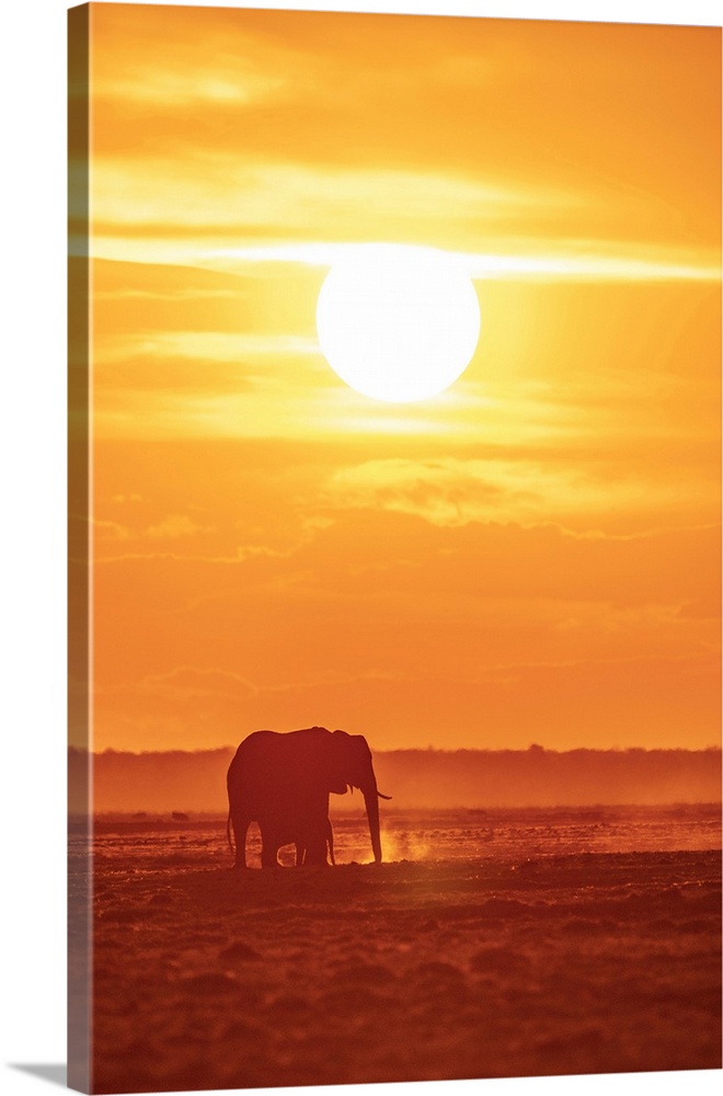 Africa, Botswana, Chobe National Park. An elephant mother and calf at sunset on the riverbank.