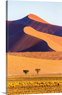 Africa, Namibia, Namib Desert, Sossusvlei, dunes at sunrise