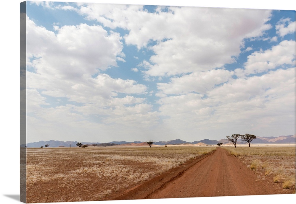 Africa, Namibia, Namib Rand area. Road in the desert.
