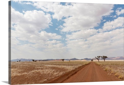 Africa, Namibia, Namib Rand Area, Road In The Desert