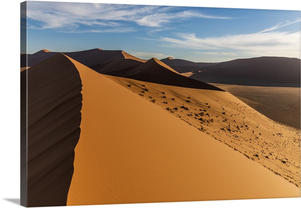 Africa, Namibia. On top of Dune 45.