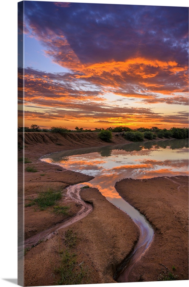 Africa, South Africa, African, Limpopo province, water hole at sunset.