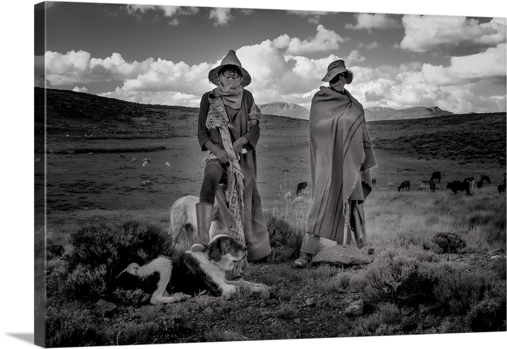 Africa, Southern Africa, Maseru District, Lesotho, Semonkong, sheep herder.