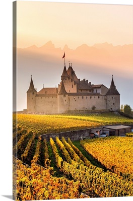Aigle Castle, Aigle, Canton Of Vaud, Switzerland, Europe