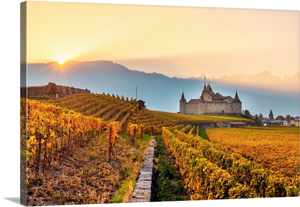 Aigle Castle, Aigle, Canton Of Vaud, Switzerland, Europe.