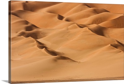 Algeria, Sahara, An Erg of stellar dunes