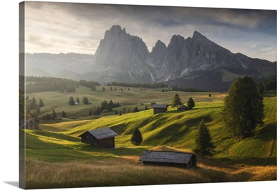 Alpe Di Siusi With The Sassolungo And Sassopiatto In The Back, Dolomites, Italy