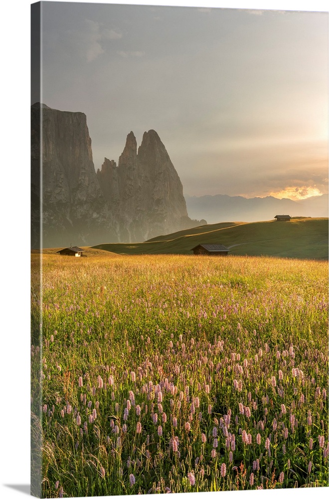 Alpe di Siusi/Seiser Alm, Dolomites, South Tyrol, Italy. Sunset after the thunderstorm.