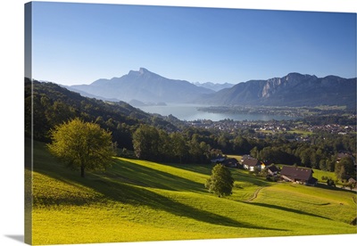 Alpine Meadow, Mondsee, Mondsee Lake, Oberosterreich, Upper Austria, Austria